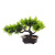 Factory Direct Supply Pine Tree Decoration Simulation Plastic Welcome Pine Pot Creative Home Hallway Office Decorations Decoration