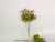 New Artificial Flower Single 6 Fork Small Flower Vase Fake Flower Decoration Living Room Table Decoration