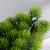 Factory Direct Supply Pine Tree Decoration Simulation Plastic Welcome Pine Pot Creative Home Hallway Office Decorations Decoration