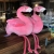 Creative Ins Internet Celebrity Flamingo Doll Pillow Doll Korean Cute Pink Plush Toy Ragdoll Gift