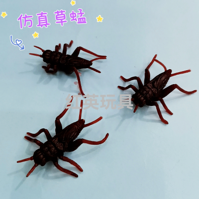 Simulation Grasshopper Plastic Insect Toy Trick Toy Capsule Toy Hanging Board Supply Gift Accessories Factory Direct Sales Wholesale