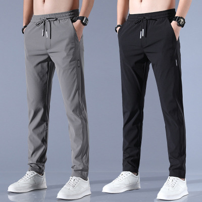 Ice Silk Pants Men's Loose Breathable Straight Casual Pants Summer Thin Quick-Drying Trousers Stretch Men's Sports Pants