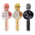 Karaoke Wireless Bluetooth Microphone Microphone Integrated KTV Audio Live Streaming Equipment High-End Upgraded Version