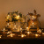 20led Christmas Festival String Bar Atmosphere Garden Terrace Outdoor Ornamental Festoon Lamp