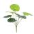 Simulation Plant Back of Turtle Green Radish Fatsia Japonica Artificial Simulation Plant Plant Wall Artificial Monstera Leaf Back of Turtle Leaves in Stock Wholesale