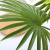 New Simulation Plants Green Plants Potted Plant Wall Decorative Plant Flower Arrangement Materials Plastic 8 Fork Palm Leaf Fan Tail Sunflower Leaf