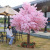 Artificial Cherry Tree Large Peach Tree Wishing Tree Indoor Hotel Shopping Mall Decoration Landscape Plants Wedding Free Shipping