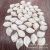 Carved Bells of Ireland White Dish Shell 10x15mm Leaves Ornament Scattered Beads DIY Headdress Accessories Lot