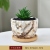 Marbling Succulent Flower Pot