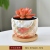 Marbling Succulent Flower Pot