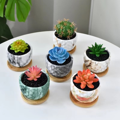 Marbling Succulent Flower Pot