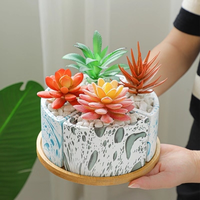 New Combination Platter Succulent Flower Pot