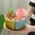 New Combination Platter Succulent Flower Pot