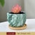 Marbling Succulent Flower Pot