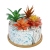 New Combination Platter Succulent Flower Pot