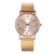 Factory Direct Sales Watch Women's Casual Fashion Mesh Strap Heart-Shaped Hot Peach Heart Women's Watch Wholesale Delivery
