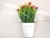 New Artificial Flower White Plastic Basin Chinese Hawthorn Bonsai Fake Flower Decoration Living Room Dining Room Bedroom