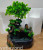  Indoor Simulation Resin Rockery Waterscape Feng Shui Water Fountain Home Office Desktop Spray Humid Decoration 