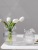 Northern European-Style Curling Spray Mouth Glass Vase Creative Living Room Simple Transparent Flowers Water Culture Internet Celebrity Flower Container