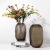 Modern Simple Light Luxury Glass Vase Creative Living Room Coffee Table TV Cabinet Vase Furnishings Ornaments Flower Vase