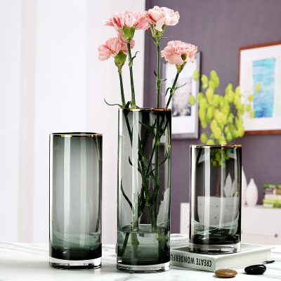 Simple Golden Trim Straight round Gray Light Luxury Nordic Ornaments Glass Flower Arrangement Water Vase Ins Style Colorful