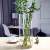 Extra Large Vase Simple Glass Transparent Floor Ornaments Living Room Dining Table Water Bamboo Lucky Bamboo Dried Flower Arrangement Straight