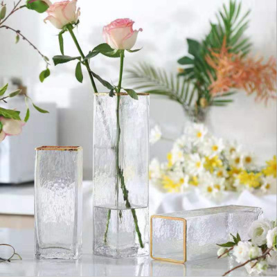 European-Style Gold Painting Hammered Pattern Glass Vase Transparent Flower Arrangement Flower Creative Home Decoration Hydroponic Vase Light Luxury Decoration