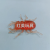 Insect Expandable Material Simulation Spider Japanese Rhinoceros Beetle Mixed Color Capsule Toy Blind Box Accessories Gift Factory Direct Sales Wholesale