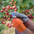 Pepper Picking Machine Cutting Gloves Special for Vegetables and Pepper Picking Finger Stall Iron Nail Cover Agricultural Picker Thumb Knife