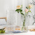 Nordic Light Luxury and Simplicity Transparent Glass Vase Flowers Hydroponic Rich Bamboo Flowers Living Room Dining Table Decorations Ornaments