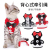 New Dog Hand Holding Rope Pet Evening Dress Chest Strap Suit Cat Bow Tie Strap Supplies