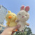 Cute Duck Plush Pendant Girls Backpack Bear Keychain Pendant Cartoon Animal Plush Puppet and Doll