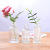 European Transparent Glass Vase Modern Minimalist Vase Creative Home Desktop Hydroponic Decoration Glass Bottle