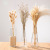 Creative Transparent Glass Vase Modern Minimalist Hydroponic Vase Nordic Home Ornaments Vase Decoration Dried Flower Vase