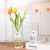 Borosilicate Straight Vase Simple Transparent Glass Vase Flowers Hydroponics Green Plant Home Decoration Glass Bottle