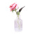 European Transparent Glass Vase Modern Minimalist Vase Creative Home Desktop Hydroponic Decoration Glass Bottle