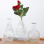 Nordic Instagram Style Glass Vase Retro Creative Vase Hydroponics Home Decoration Hydroponic Vase Decoration Insert