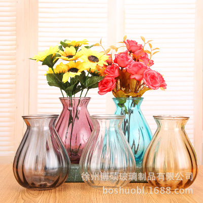 New European Style Glass Vase Hydroponic Vase Dried Flower Ornaments Creative Small Vase Living Room Decoration Hydroponic Glass Bottle