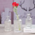 European Transparent Glass Vase Modern Minimalist Vase Creative Home Desktop Hydroponic Decoration Glass Bottle