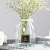 Creative Simple Glass Vase Transparent Colorful Hydroponic Plant Green Radish Gradient Glass Vase Living Room Flower Arrangement Decoration