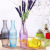 Nordic Hydroponic Glass Vase Color Transparent Dried Flower Vase Desktop Fresh Furnishings Living Room Decoration Wholesale