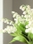 Linglan Artificial Flower White Small Flower Fresh Plastic Fake Flower Indoor Home Office Desk Surface Panel Ornament Decoration