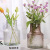 Nordic Simple Glass Vase Creative Living Room Hydroponic Vase Flower Arrangement Glass Bottle Dried Flower Vase Decoration
