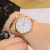 Factory Wholesale Geneva Simple Ultra-Thin Men's Watch Foreign Trade Fashion Business Quartz Watch Mesh Strap Watch Men