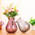 New European Style Glass Vase Hydroponic Vase Dried Flower Ornaments Creative Small Vase Living Room Decoration Hydroponic Glass Bottle