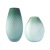 Creative Ins Modern Simple Glass Vase Special-Shaped High-Grade Home Decoration Living Room Decoration Hydroponic Vase