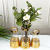 Factory Direct Supply Simple and Light Luxury Lips Laser Gold Edge Decorative Vase Hydroponic Plant Bottle Table Vase Ornaments