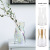Nordic Instagram Style Flower Cultivation Transparent Colorful Glass Small Vase Living Room Decoration Flower Arrangement Hydroponic Decoration Simple