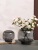 Simple Modern Light Luxury Primary Color Vase Transparent round Large Mouth Hydroponic Flower Arrangement Living Room Dining Table Glass Decoration