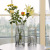 Nordic Glass Vase Transparent Simple Creative Living Room Flower Arrangement Water Lily Rose Flower Dining Table Flower Decoration